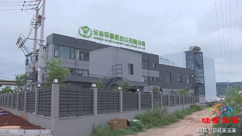 保持全省第一 上半年玉溪市農(nóng)產(chǎn)品出口總額達10億美元